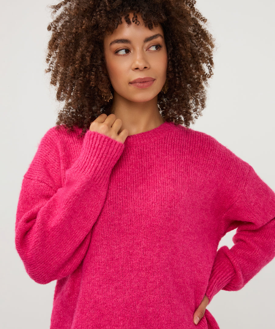 Trui Esqualo round neck - Berry
